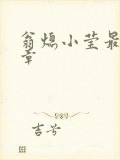 翁熄小莹最新节章封面