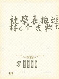 被学长抱进小树林c个爽软件