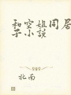 和空姐同居的日子小说
