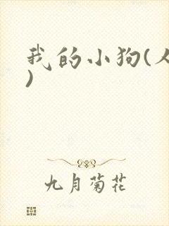我的小狗(人外)