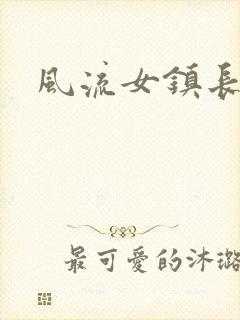 风流女镇长封面
