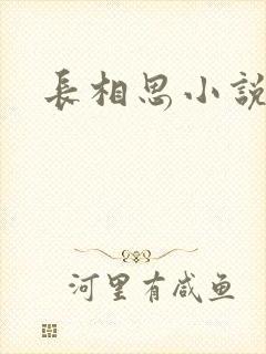 长相思小说原著