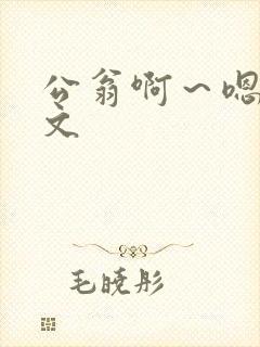 公翁啊～嗯啊h文