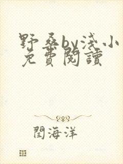 野桑by浅小说免费阅读