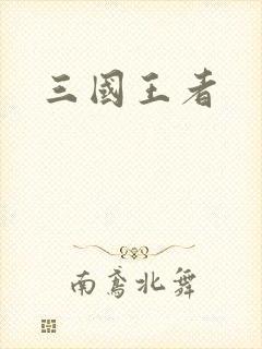 三国王者