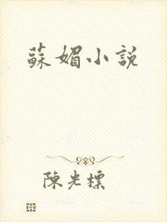 苏媚小说
