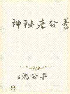 神秘老公惹不起