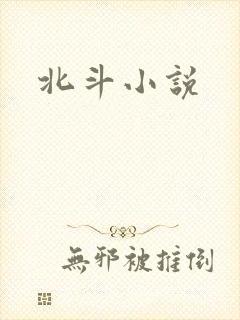 北斗小说