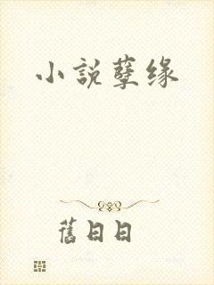 小说孽缘