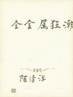 全金属狂潮小说