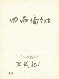 四面墙txt