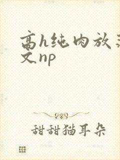 高h纯肉放荡h文np