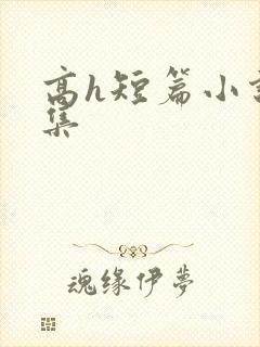 高h短篇小说合集