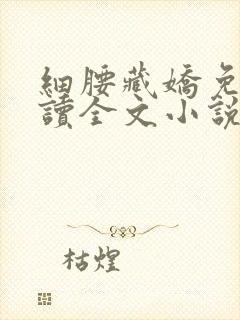 细腰藏娇免费阅读全文小说苏珞浅