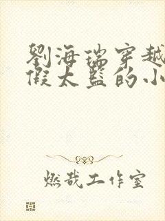 刘海瑞穿越后宫假太监的小说