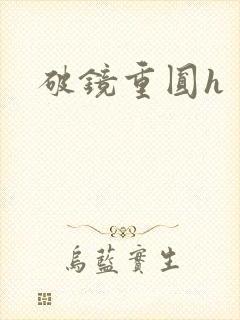 破镜重圆h