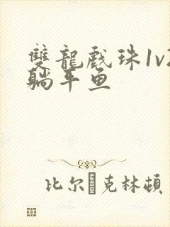 双龙戏珠1v2躺平鱼
