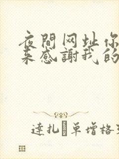 夜间网址你会回来感谢我的