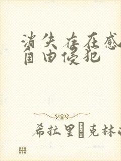 消失存在感消失自由侵犯