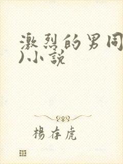 激烈的男同(h)小说