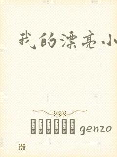 我的漂亮小后妈