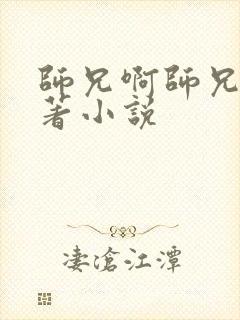 师兄啊师兄的原著小说