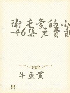 卫老爹的小船1-46集免费观看