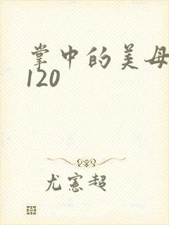 掌中的美母版主120封面