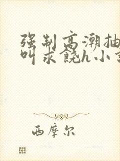 强制高潮抽搐哭叫求饶h小说