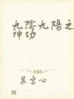 九阴九阳之阴阳神功