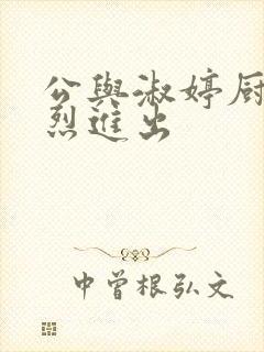 公与淑婷厨房猛烈进出