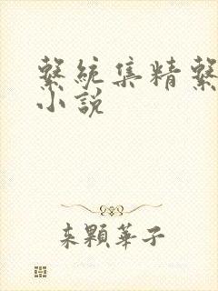 系统集精系统 小说