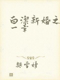 白洁新婚之夜第一章