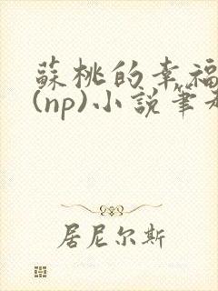 苏桃的幸福生活(np)小说笔趣阁