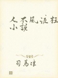 人不风流枉少年小说