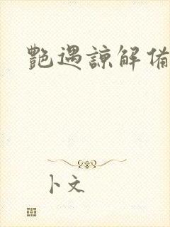 《艳遇谅解备忘录》小说封面