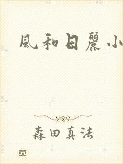 风和日丽小说
