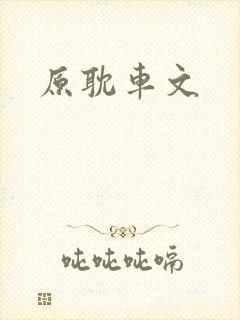 原耽车文