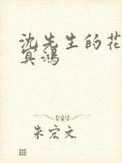 沈先生的花式调冥鸿