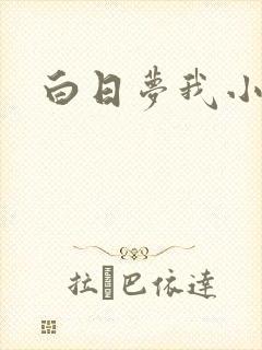 白日梦我小说