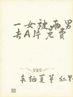 一女被两男桶进去A片免费