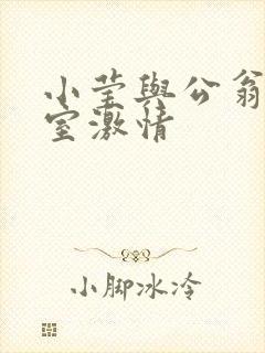 小莹与公翁办公室激情