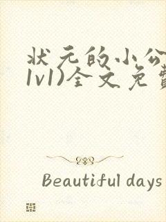 状元的小公主(1v1)全文免费阅读