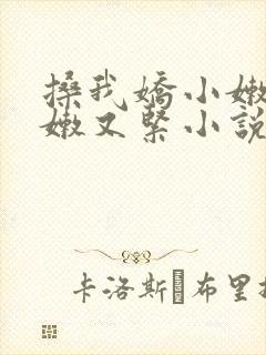 搡我娇小嫩苞又嫩又紧小说