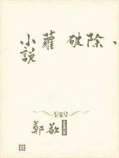 小萝 破除 小说封面