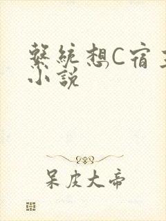 系统想C宿主的小说