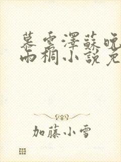 慕云泽苏晚晴夏雨桐小说免费阅读