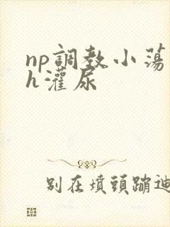 np调教小荡货h灌尿