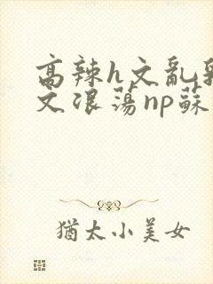 高辣h文乱乳h文浪荡np苏夏