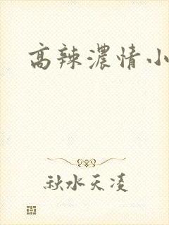 高辣浓情小说